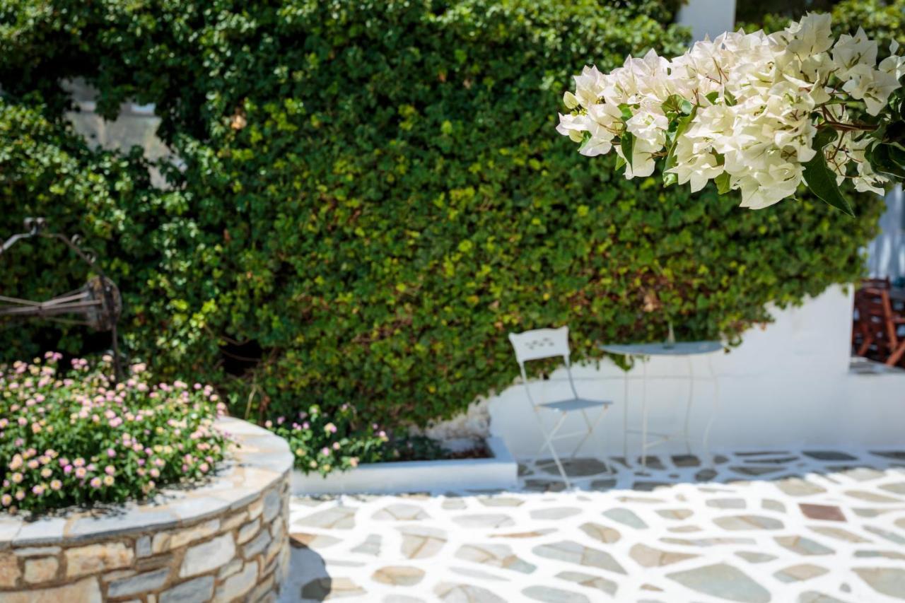 Tzane Studios & Apartments - Steps Away From Golden Beach Χρυσή Ακτή Εξωτερικό φωτογραφία